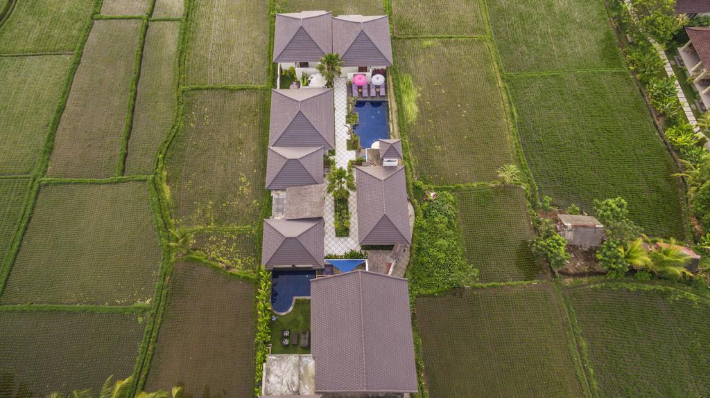 אובוד Solo Villas & Retreat מראה חיצוני תמונה